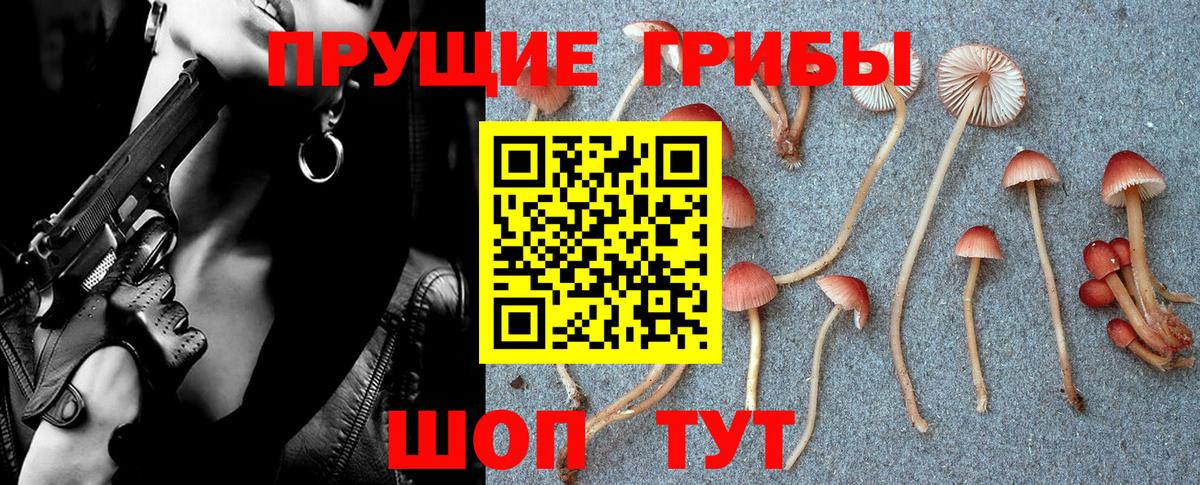 Норильск  Галлюциногенные грибы Magic Shrooms  Вход с VPN  Псилоцибиновые грибы ЛСД 